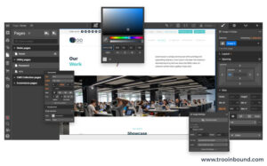 Webflow vs WordPress- A Detailed Comparison Guide.