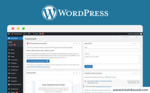 Webflow vs WordPress- A Detailed Comparison Guide.